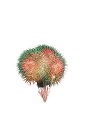 Obraz premium Cactus plant with sharp spines.