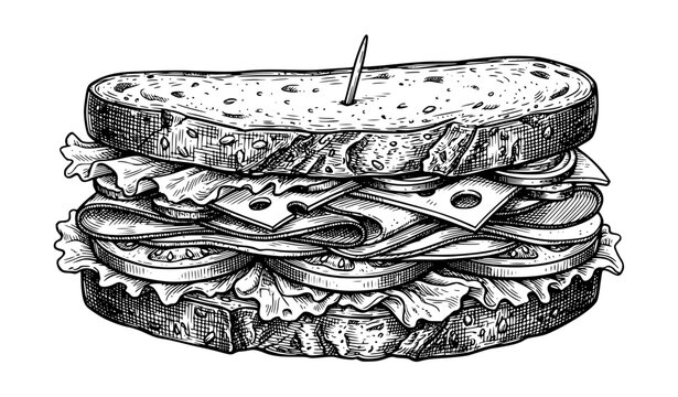 Hand Drawn Sandwich Sketch Vintage Food Vector Illustration