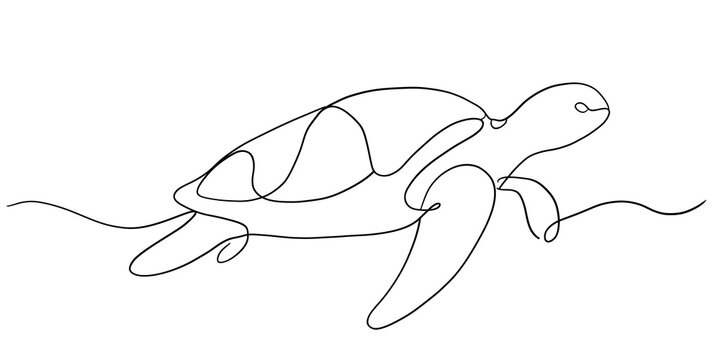 Continuous line drawing of swimming sea turtle