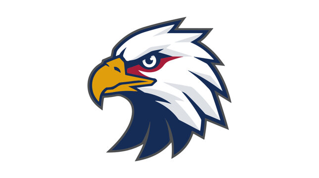 Eagle Head Mascot Logo Illustration for Sports Teams and Academic Branding