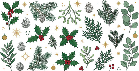 Hand drawn winter botanical elements vector sticker set featuring Christmas holly berries pine branches mistletoe and pinecones on white background © MdAbusufian