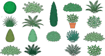 Garden landscape plants and green shrubs vector illustration icon set featuring various architectural bushes hedges fern and cypress trees © MdAbusufian