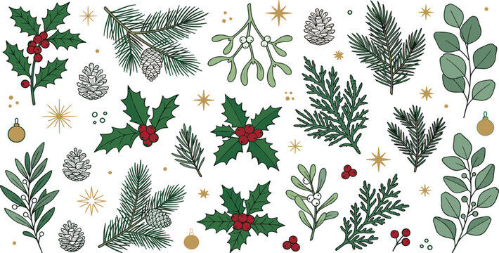 Hand drawn winter botanical elements vector sticker set featuring Christmas holly berries pine branches mistletoe and pinecones on white background
