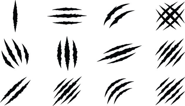 Animal claw scratches vector silhouette set featuring black monster slash marks wild bear predator rips tiger lacerations and horror background textures