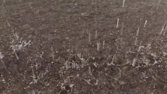 Close-up shot of heavy rain pouring down from a corrugated metal roof against a blurred green tree background. Peaceful yet dramatic rainy season atmosphere, capturing the texture of falling water