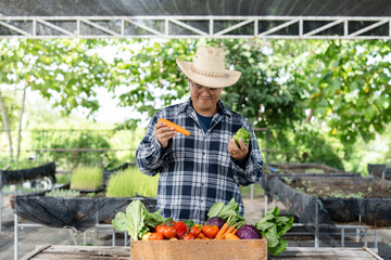 Obraz premium Organic vegetable farmers father and daughter picking fresh vegetables in baskets, carrying wooden boxes of vegetables in the field. Fresh organic vegetables from local producers ready for transport.