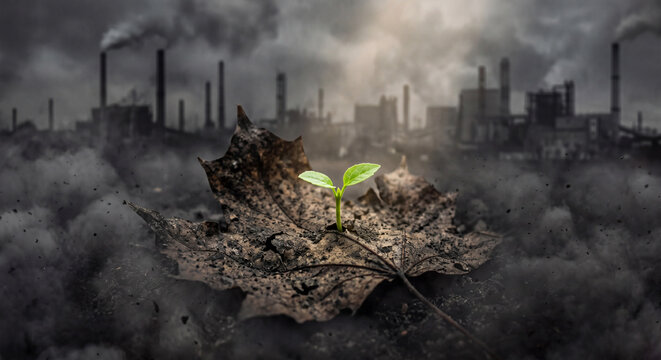 Conceptual illustration of a small green plant sprouting from a dead leaf against a smoky industrial factory backdrop