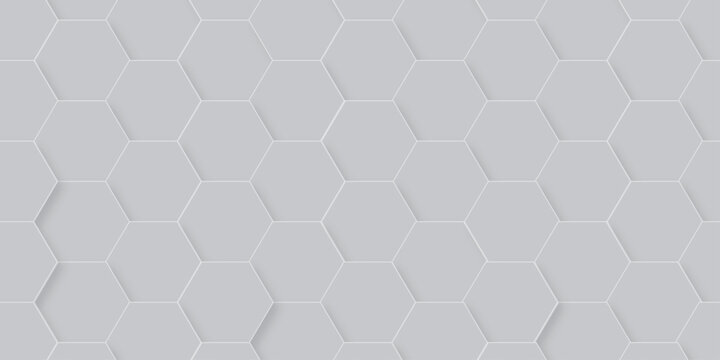 Vector abstract white grid digital hexagon technology background. Embossed Hexagon, honeycomb white mosaic cell web light shadow texture wall decoration futuristic wallpaper design.