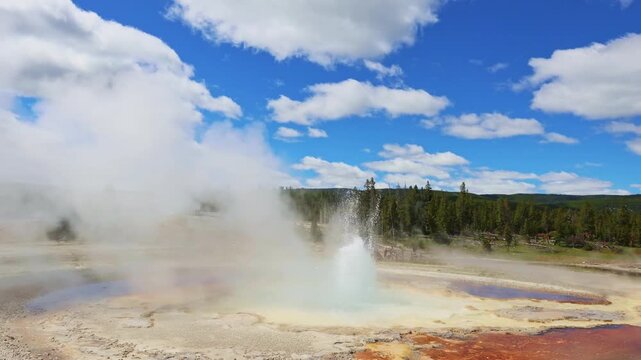 A powerful geyser erupts along the Upper Geyser Basin trail in Yellowstone National Park