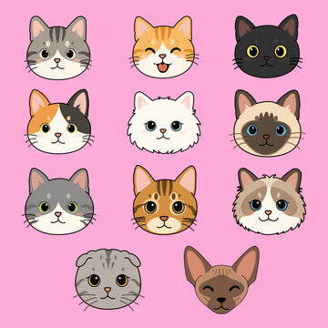 Cute cat breeds face icon set, cartoon kitten avatars vector illustration.