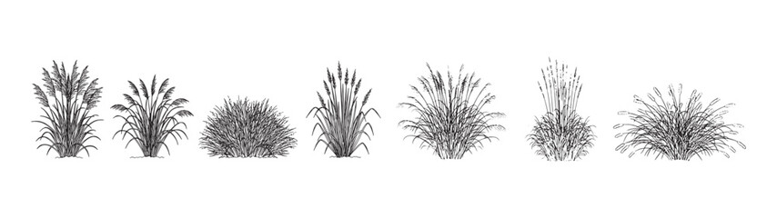 Fototapeta premium Grass Bush Silhouettes Vector Set Landscape Plant Collection