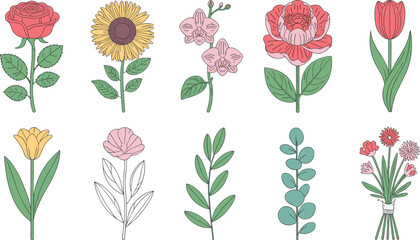 Naklejka premium Botanical Flower Illustrations Featuring Rose, Sunflower, Orchid, Peony, Tulip, Carnation, Leaves, and Bouquet