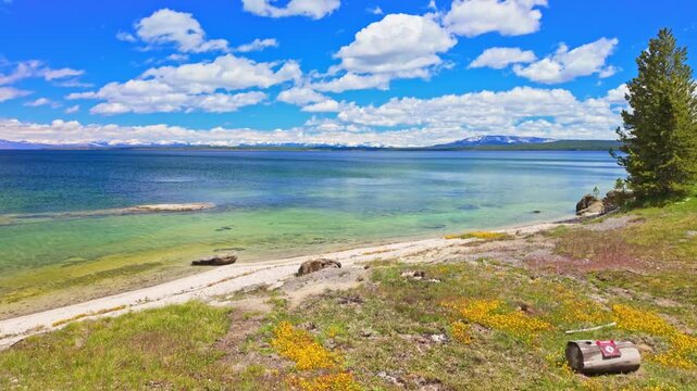A submerged geothermal vent creates striking patterns beneath the clear waters of Yellowstone Lake in Yellowstone National Park