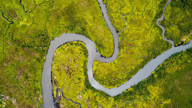 Winding River Meandering Through Lush Green Wetland Landscape