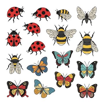 Colorful butterfly and ladybug vector illustration.