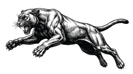 Aggressive black panther jumping vector illustration, powerful crouching cougar mascot, hand drawn wild cat predator line art for sports logo © Ch