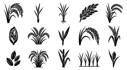 Fototapeta premium Black White Rice Plant and Grain Agriculture Glyphs Vector Icons Set for Food Industry