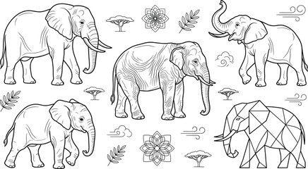 Elephant animal icon set vector outline collection of african safari geometric low poly mandala savanna tree element. © MDSAIFUL