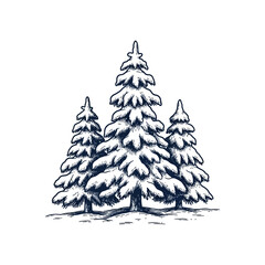 Obraz premium Hand drawn sketch of three snow covered pine trees in winter forest illustration.