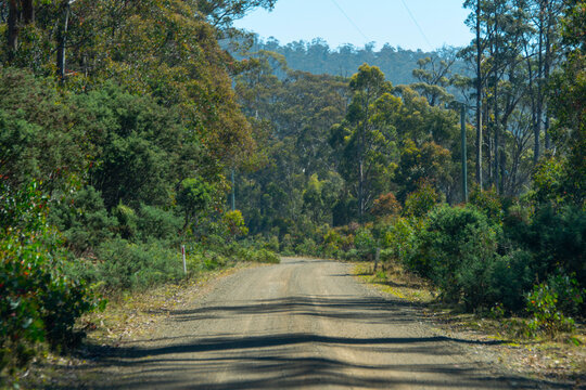 Tunbridge Tier Road (C526) in Tasmania - Australia