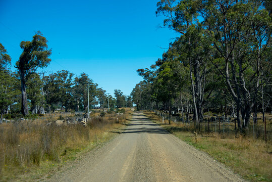 Tunbridge Tier Road (C526) in Tasmania - Australia