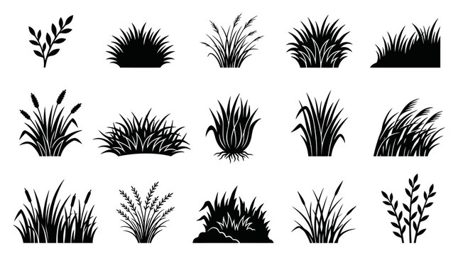 Black  White Silhouette Icons of Grasses and Plants Vector Set