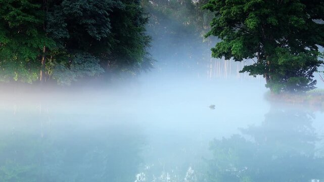 羊蹄姿見池と朝霧