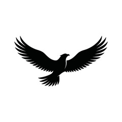 Obraz premium Black eagle, flying bird, wings spread, silhouette icon, vector graphic isolated on White Background
