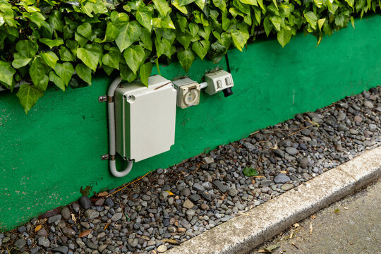 Outdoor Electrical Boxes Under Lush Green Ivy