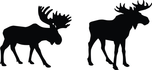 Naklejka premium Black silhouette icons of bull moose with large antlers isolated on white background wild animal vector set
