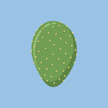 A green prickly pear cactus pad on a light blue background