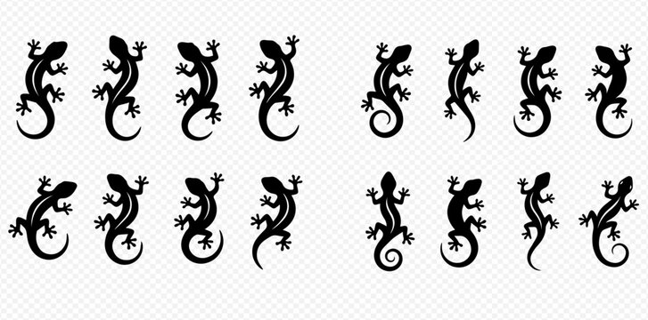 Set of various black gecko and lizard silhouettes, vector illustrations for design elements.