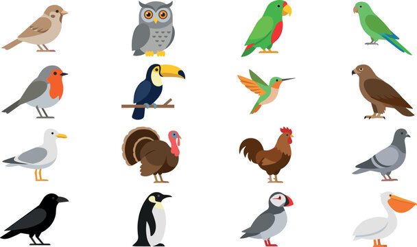 Flat Bird Species Vector Icon Set Featuring Owl Toucan Parrot Hummingbird Penguin Pelican and Rooster for Educational Biology Worksheets and Wildlife Nature Graphic Designs