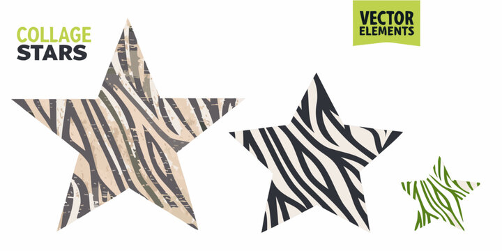 Collage Stars Vector Illustration With Zebra And Leopard Patterns