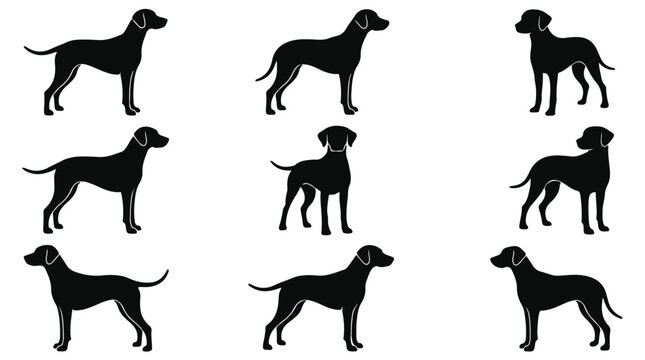 Black dog silhouettes set, 9 hunting dog vector icons, standing pointer dog profile shapes, minimalist canine pet illustrations for logos