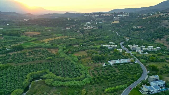 Olive groves and scattered homes at Kalami are filmed at sunset as a winding road leads through the green valley toward distant hills.