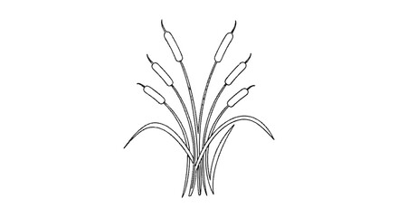 Fototapeta premium Elegant black and white botanical line art illustrating elongated grass-like plant with slender leaves and developing seed pods