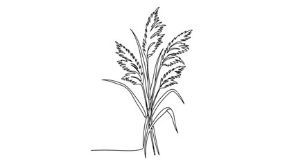 Naklejka premium Elegant Line Drawing of Wild Grass with Detailed Leaf and Stem Structure in Minimalist Style