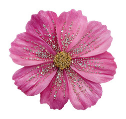 Fototapeta premium PNG Pink flower with sparkling details