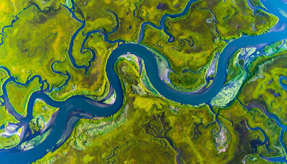 Naklejka premium Aerial view of a winding river through a green forest