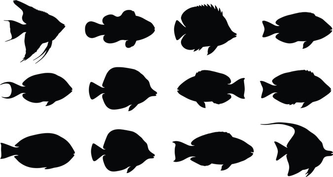 Collection of Tropical Fish Silhouettes and Exotic Marine Sealife Icons Isolated on White Background