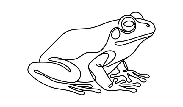 One continuous line drawing of a frog minimalist wildlife illustration