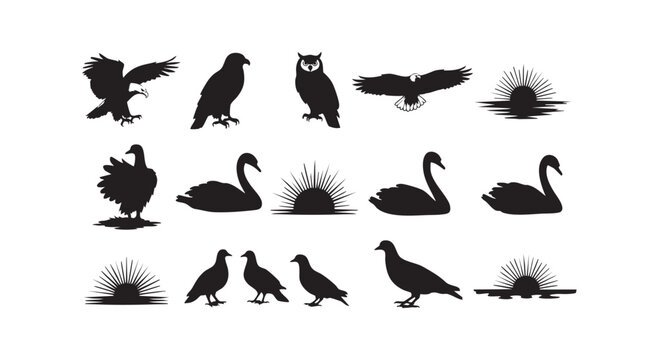 Black silhouette collection of flying eagles owls birds and swans with rising sun graphic elements for design.