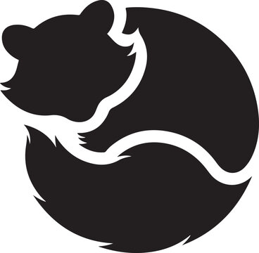 sleeping raccon
