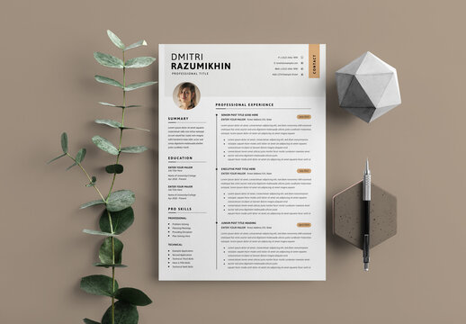 Clean Resume Design Layout