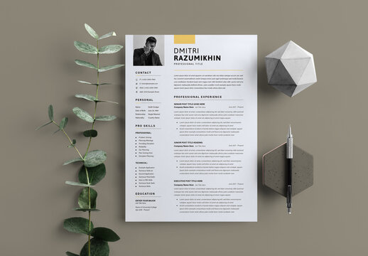 Curriculum Vitae Resume Layout