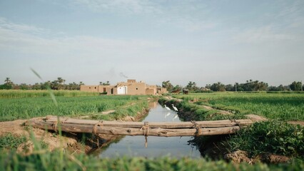 Fototapeta premium Bridge made of simple wooden logs crosses a narrow irrigation canal running through a vibrant green agricultural field.