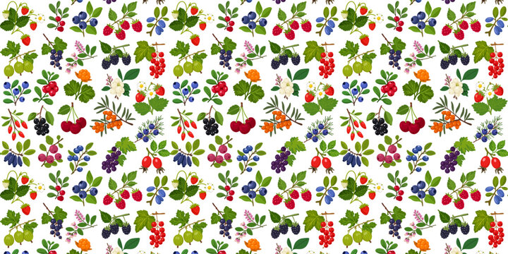 seamless pattern with assorted berries on branches