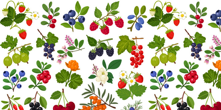 colorful wild berry branches seamless background design