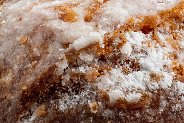 Fototapeta premium High-Resolution close-up of sweet icing sugar crystals ultra sharp macro and extreme detail of baked chestnut paste pastry background full frame
